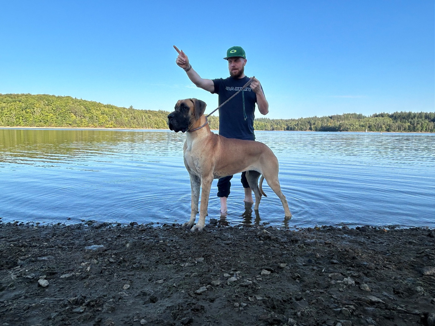 Very top Des Terres De Romandor