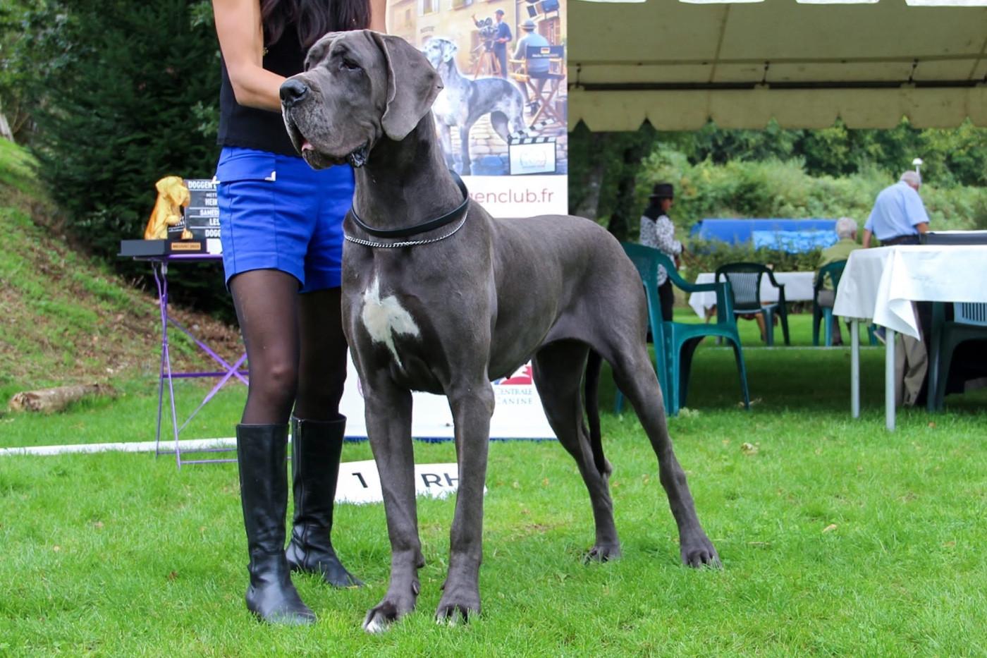Vache qui rit Des Iles Aux Falaises