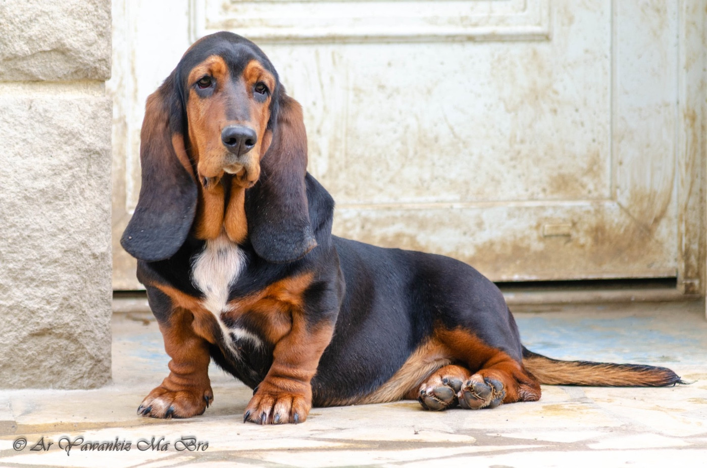 Ashtag Des Iles Aux Falaises