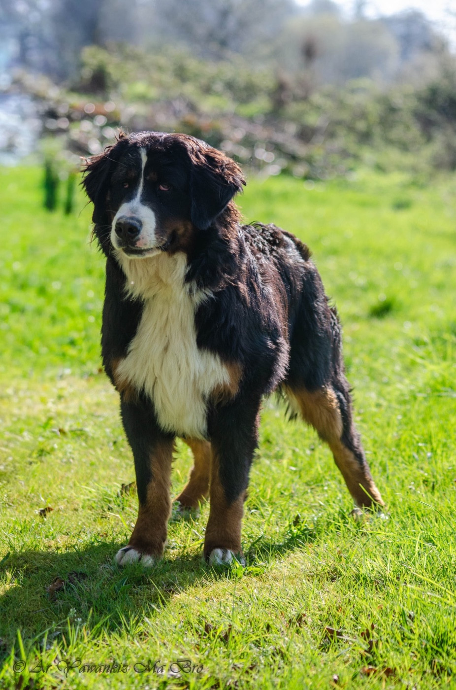 Absolument Toc Toc Des Iles Aux Falaises